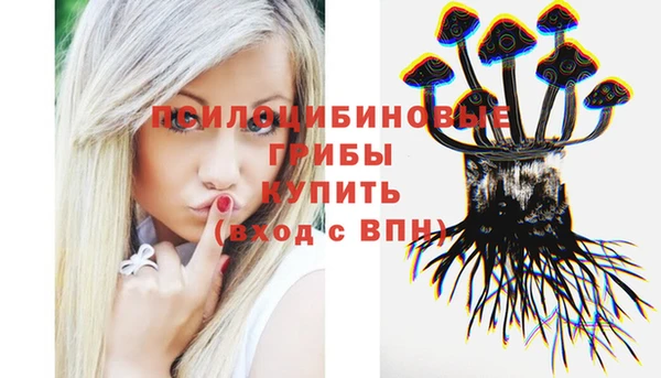 гашик Аркадак