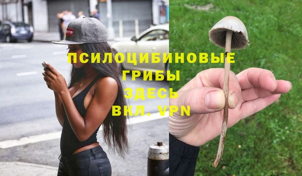 экстази Алзамай