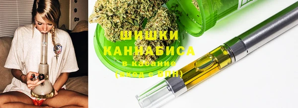 гашик Аркадак