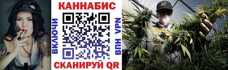 Каннабис OG Kush  Мурманск 